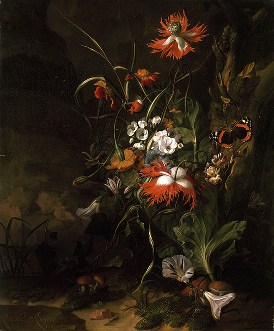 A 'Forest Floor' Still Life of Flowers by Rachel Ruysch dating 1687
