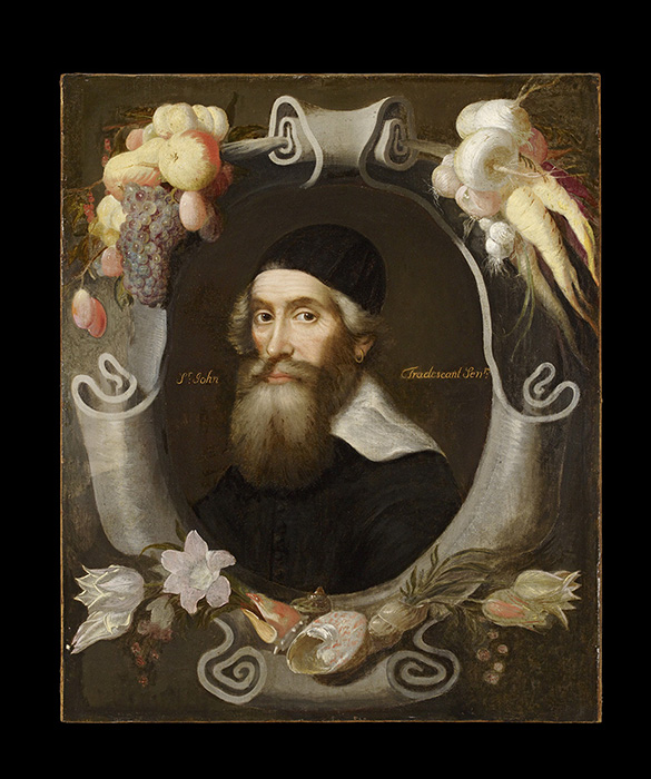 John Tradescant the Elder oil on canvas portrait, he is encircled by fruit, flowers and vegetables