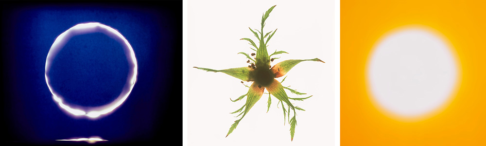 Three digital prints showing a shadow moon, a flower's petals over the sun and a blurry white sun over orange background by artist Garry Fabian Miller