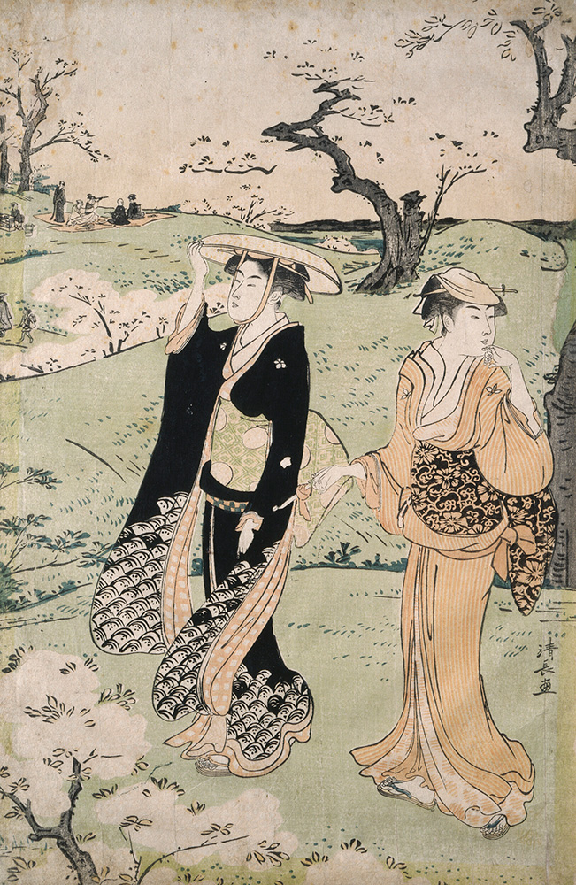 Cherry blossom viewing at Asuka Hill