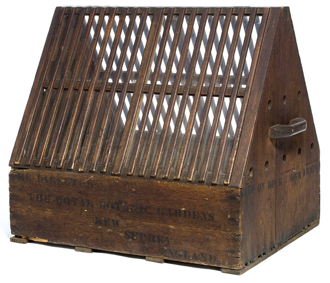 A Wardian case circa 1870 of wood and glass for transporting plants
