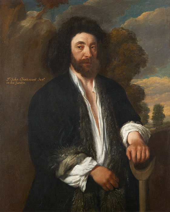 John Tradescant the Younger oil on canvas portrait in which he holds a spade posing as a gardener