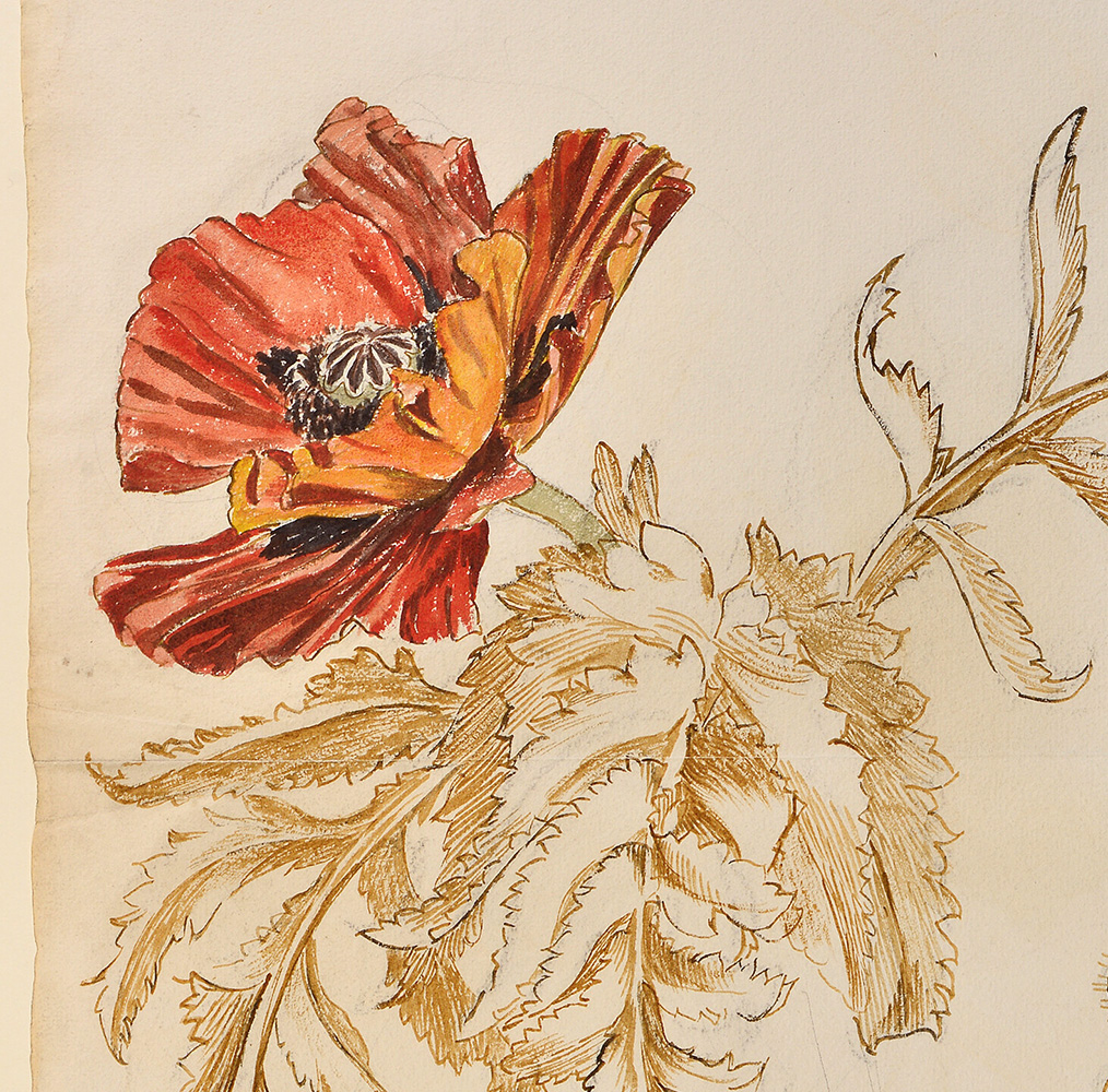 Ashmolean After Raphael AFTER HOURS IN BLOOM EXHIBITION CURATOR TOUR | Ashmolean Museum