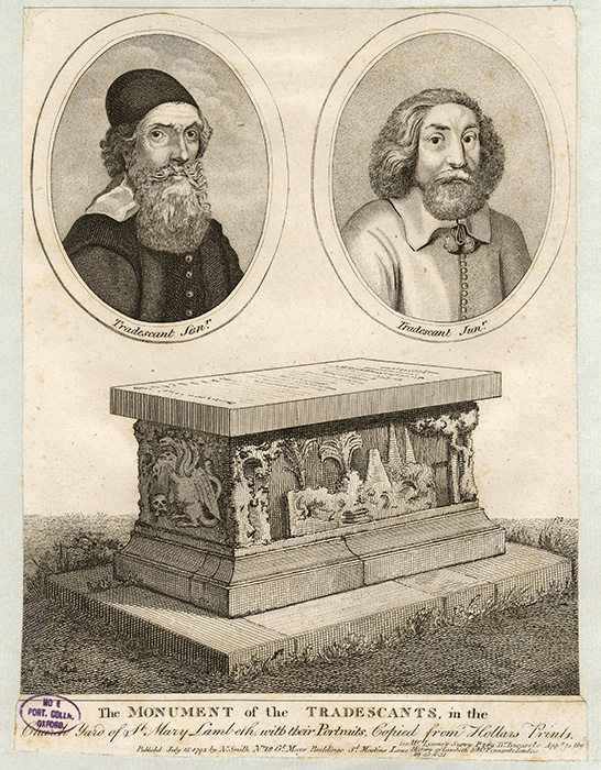 ~A drawing of the Tradescants family tomb and monument -