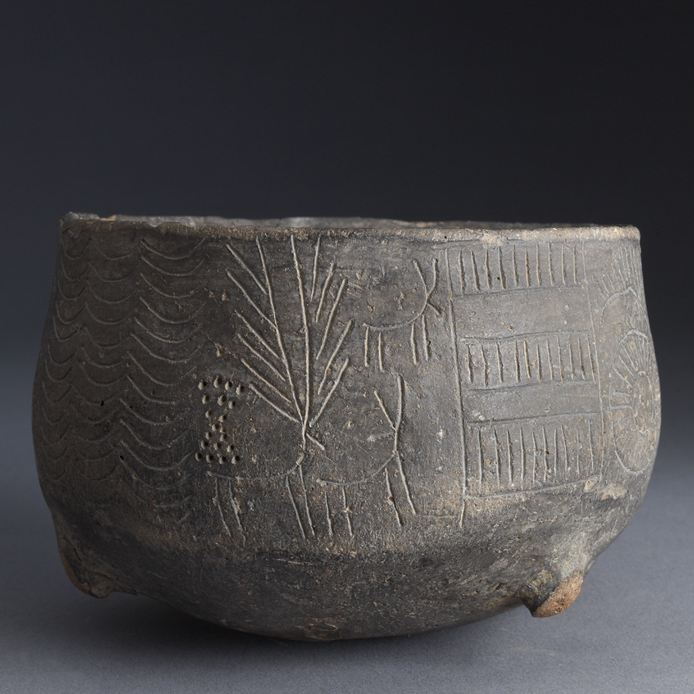 Prehistoric Deer on a Ceramic Bowl
