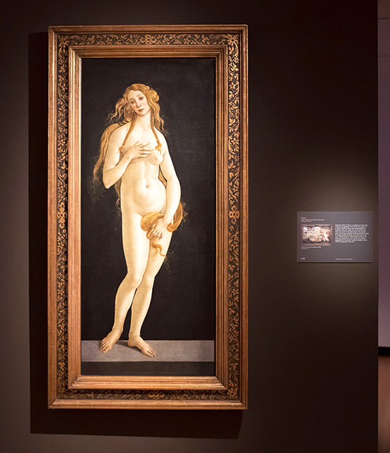Botticelli's Venus painting in the Aphrodite exhibition