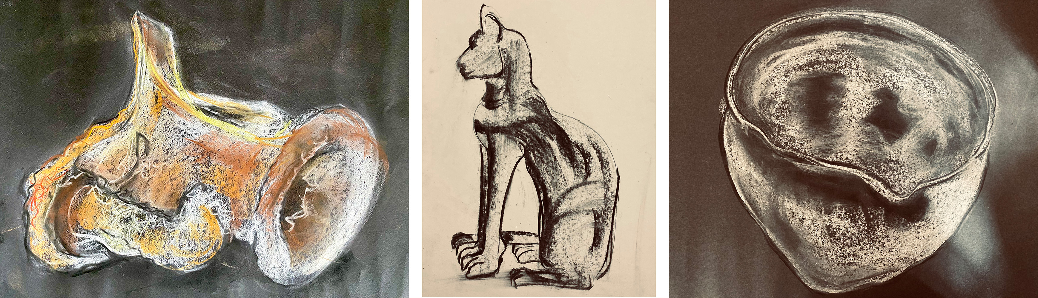 Still life drawing and charcoals of objects and a cat by Helen Edwards 