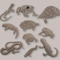 Unfired clay pet amphibian and reptile figures by contemporary artist Daphne Wright