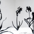 Black glass flowers contemporary installation by artist Anahita Norouz