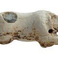 Ancient ivory figurine of a puppy