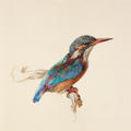 John Ruskin, Study of a Kingfisher with Dominant Reference to Colour