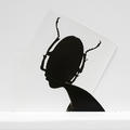The Symptoms by Bettina von Zwehl, black and white photography showing a silhouette beetle imposed on a woman's head