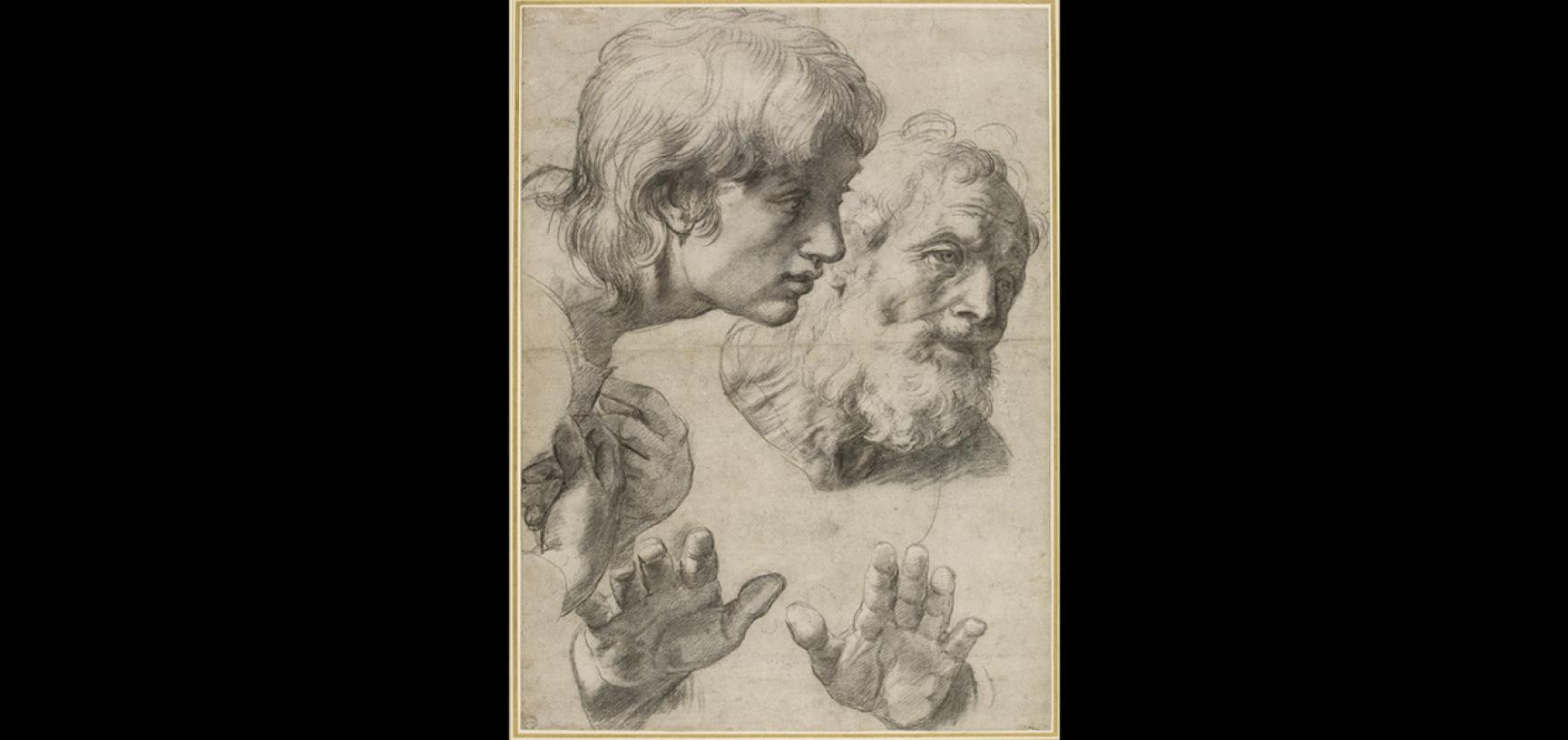 Studies Of Two Apostles Ashmolean Museum The transfiguration is considered the last painting by the italian high renaissance master raphael. studies of two apostles ashmolean museum