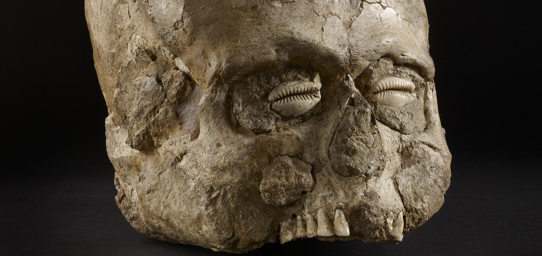 JERICHO SKULL Ashmolean Museum