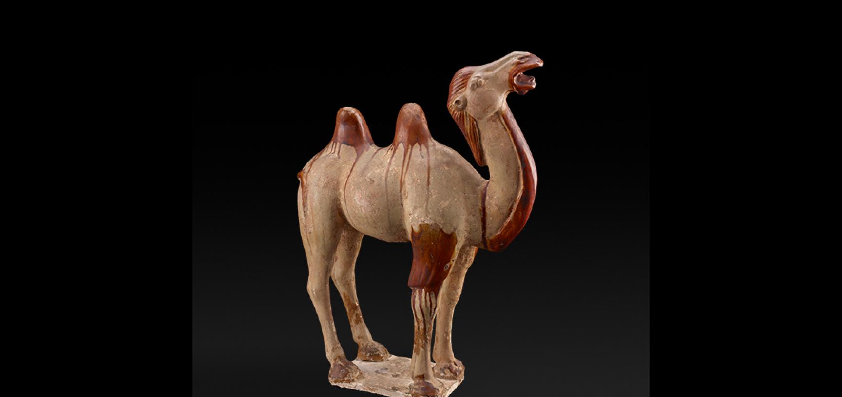 Camel, Tang Dynasty 