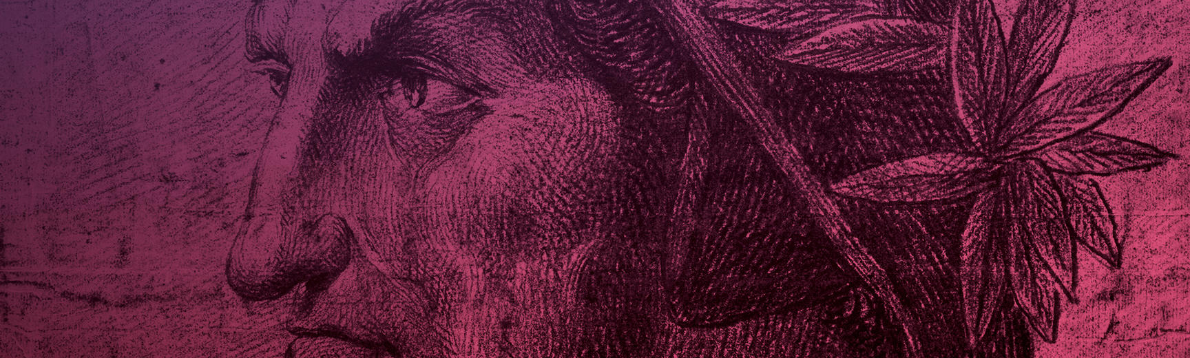 Etching of the poet Dante, in profile, with pink tint overlaid