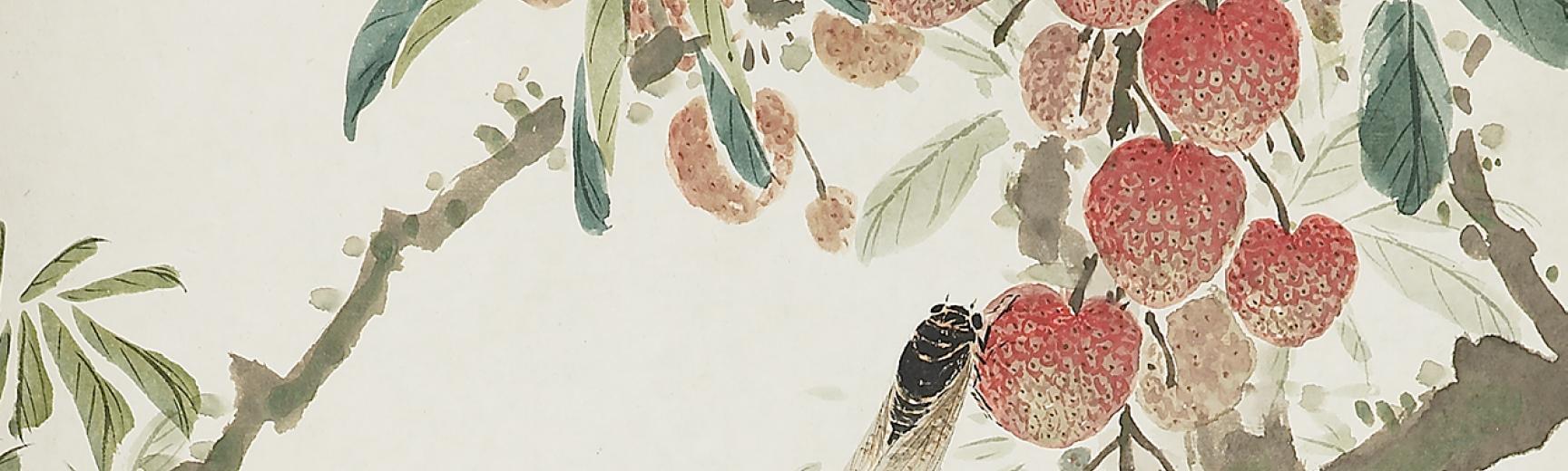 Lychees and cicada