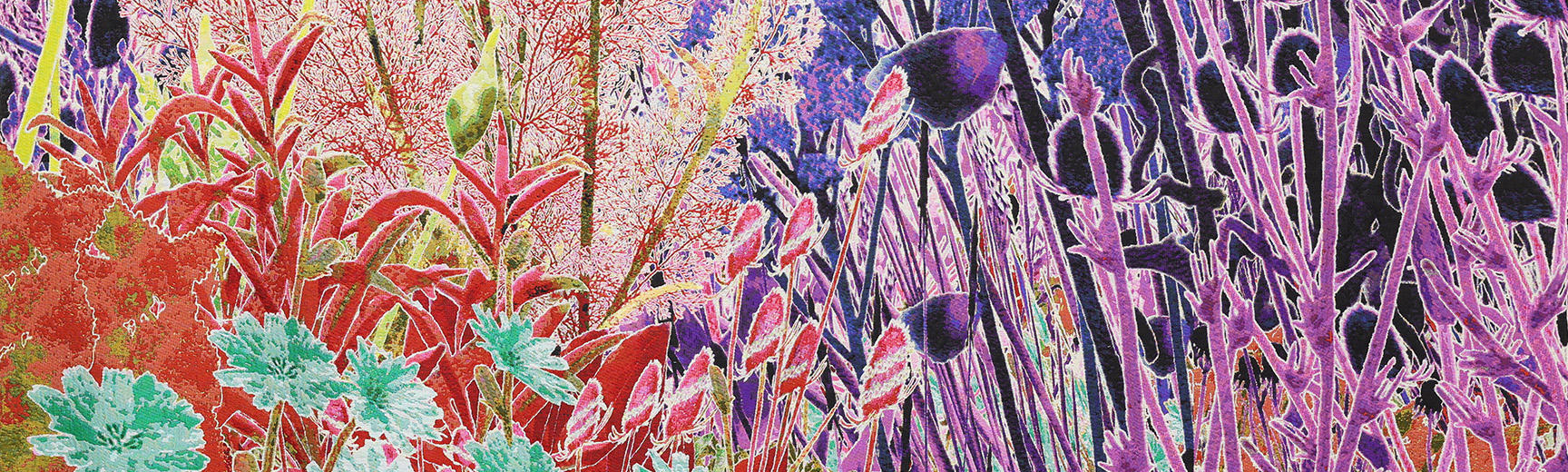 purple green section early spring daisy ginsberg1728px