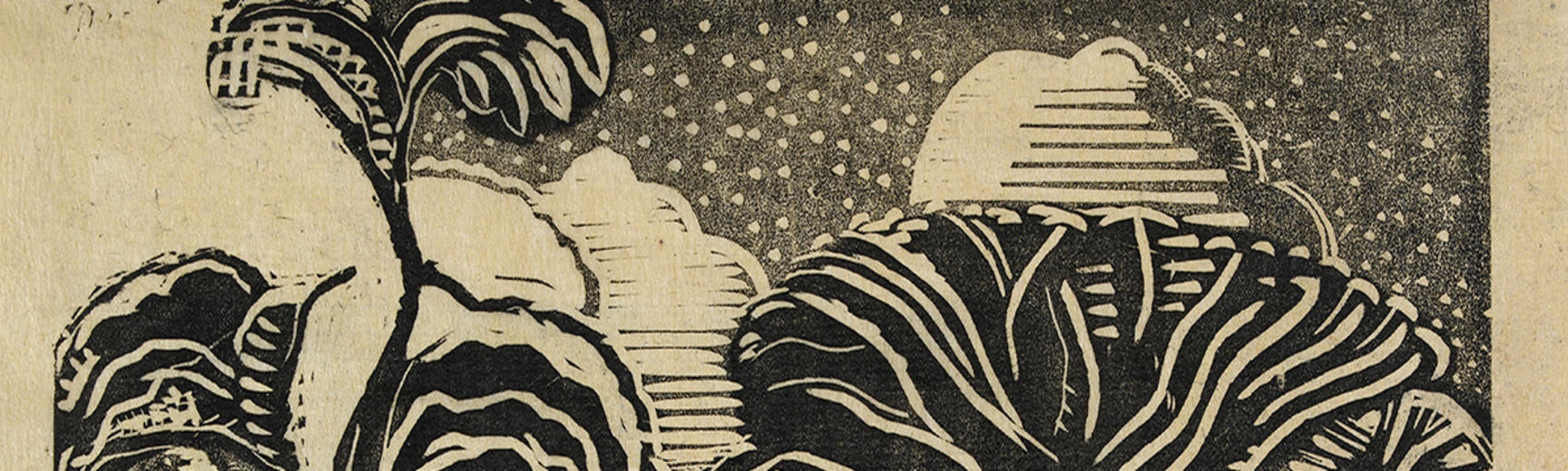 snow scene wa19713a banner