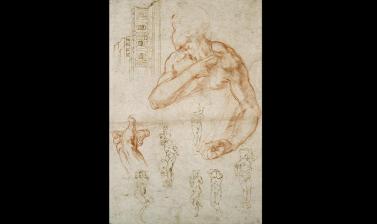 Michelangelo's studies by Michelangelo Buonarroti