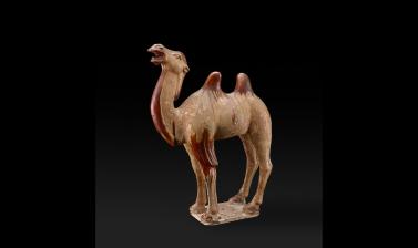 CAMEL TOMB FIGURE | Ashmolean Museum