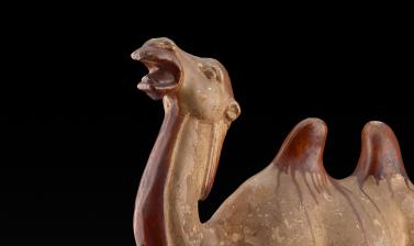 Camel, Tang Dynasty 