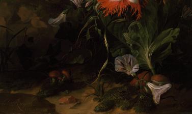 A 'Forest Floor' Still Life of Flowers by Rachel Ruysch