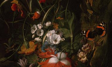 A 'Forest Floor' Still Life of Flowers by Rachel Ruysch