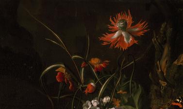 A 'Forest Floor' Still Life of Flowers by Rachel Ruysch