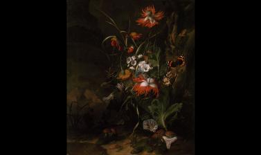 A 'Forest Floor' Still Life of Flowers by Rachel Ruysch