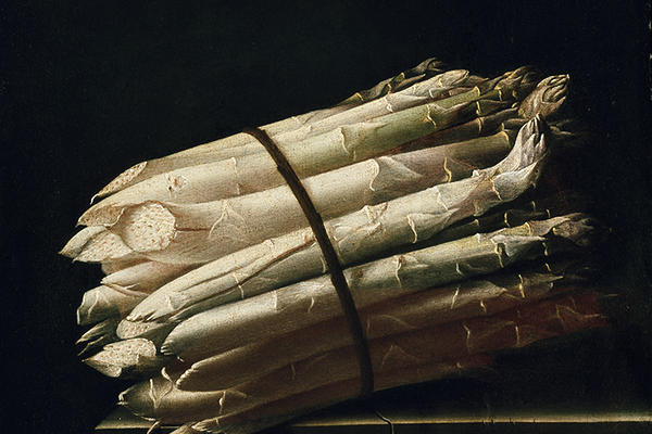 Still life painting of Asparagus