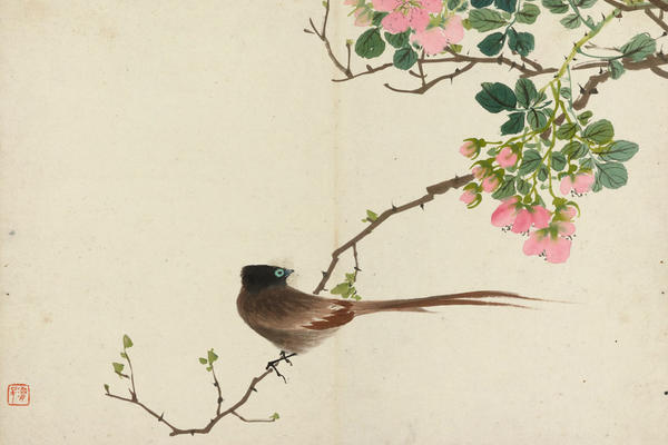 Painting of a brown bird sat on a branch, with pink flowers