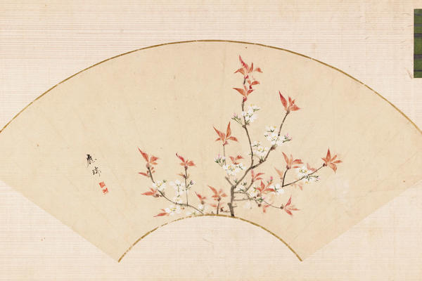 A drawing in a fan shpe of cherry blossoms in pink and white
