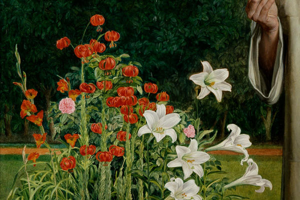 An image displaying white lilies and red poppies, and a hand holding a white petal flower