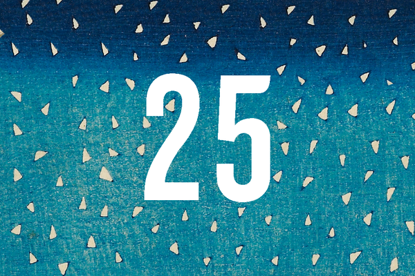 Advent Calendar Closed Door 25