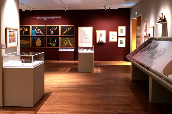 Inside Surovi's exhibition in Gallery 8