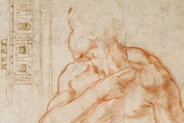 michelangelo studies listing image