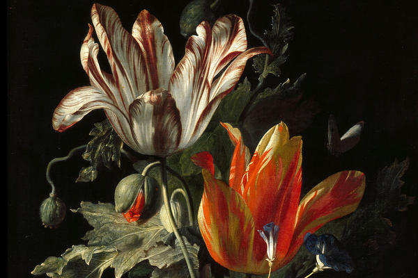 CELEBRATING SPRING | Ashmolean Museum