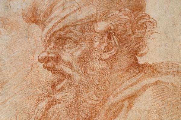 Head of a Bearded Man shouting by Michelangelo Deatail 
