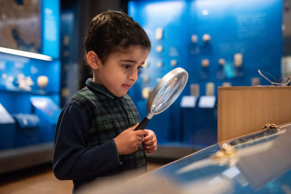 A young boy uses a large magnifying glass to explore a case of objects in the Museum's Ancient Middle East Gallery
