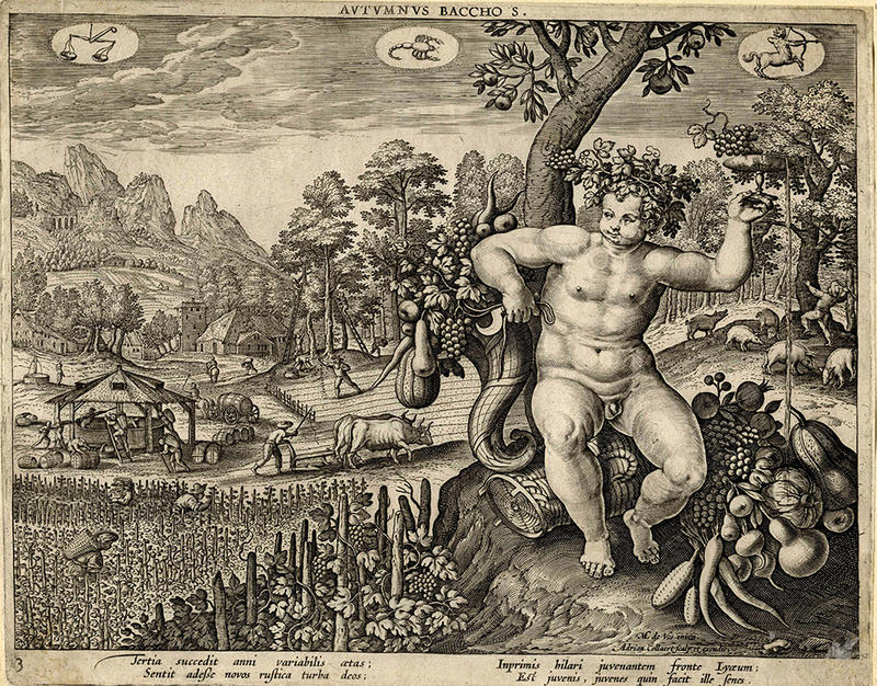 Autumnus bacchus wa 1863 7726 a 1000px autumnus bacchus wa 1863 7726 a 1000px