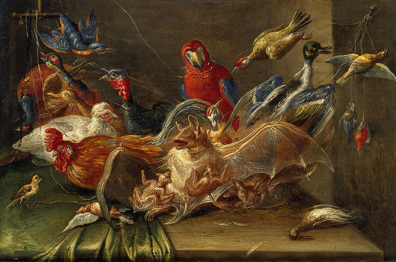 Dutch still life with birds and bats by Jan van Kessel