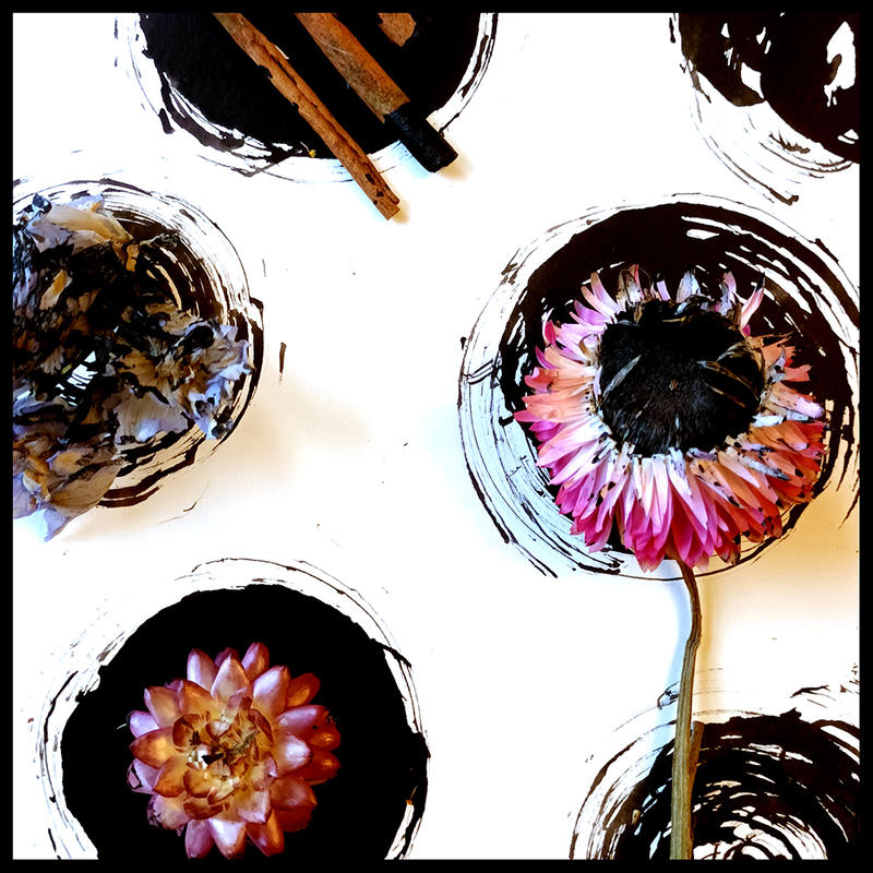 Original artwork using chysanthemum flowers against a white background and natural materials by artist Crimson Rose