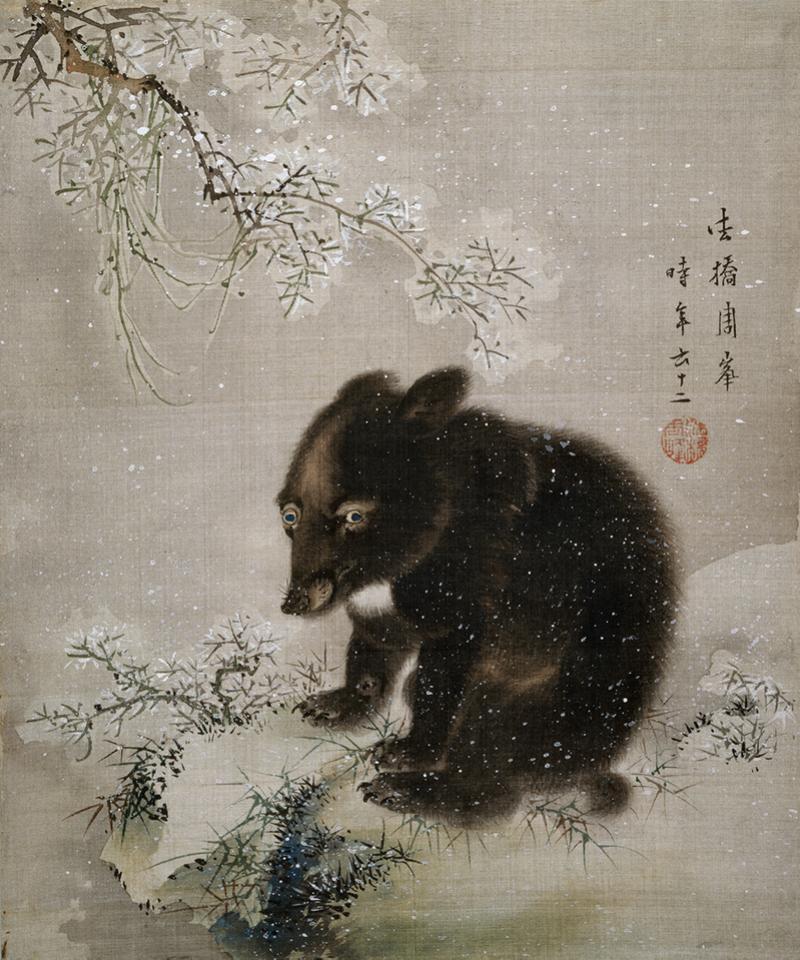 EA1964.94.F Black Bear cub in snow EA1964.94.F Black Bear cub in snow