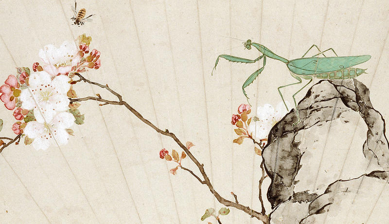 Praying mantis, bee, and prunus blossom Chinese fan, 1881