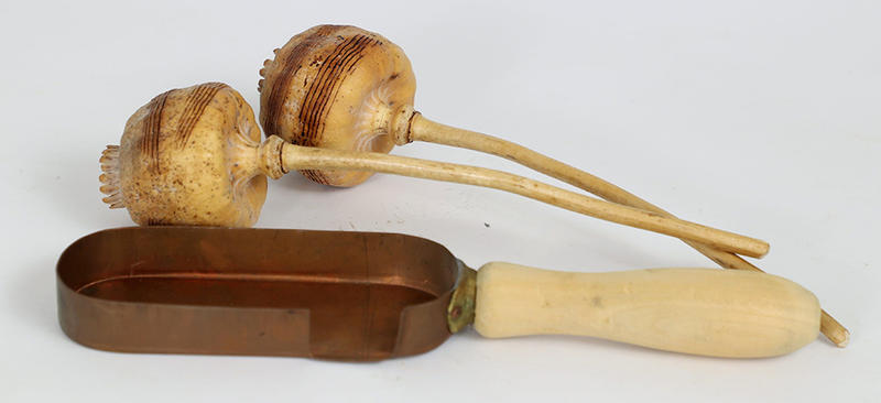 Opium pods and stand for collecting resin