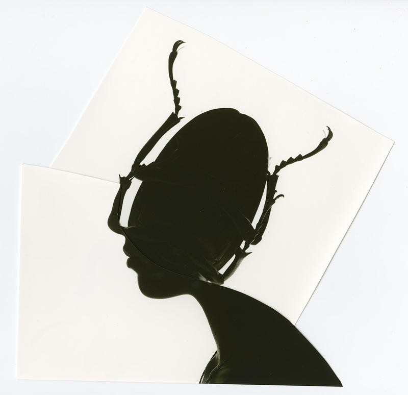 Artist Bettina Von Zwehl's art print showing a silhouette head shaped like a beetle, called The Symptoms #38