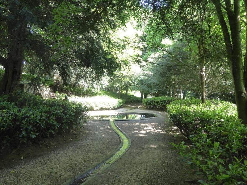 Dappled sunlight shining through trees surrounding a forest path with pool of water at Rousham Park and Garden