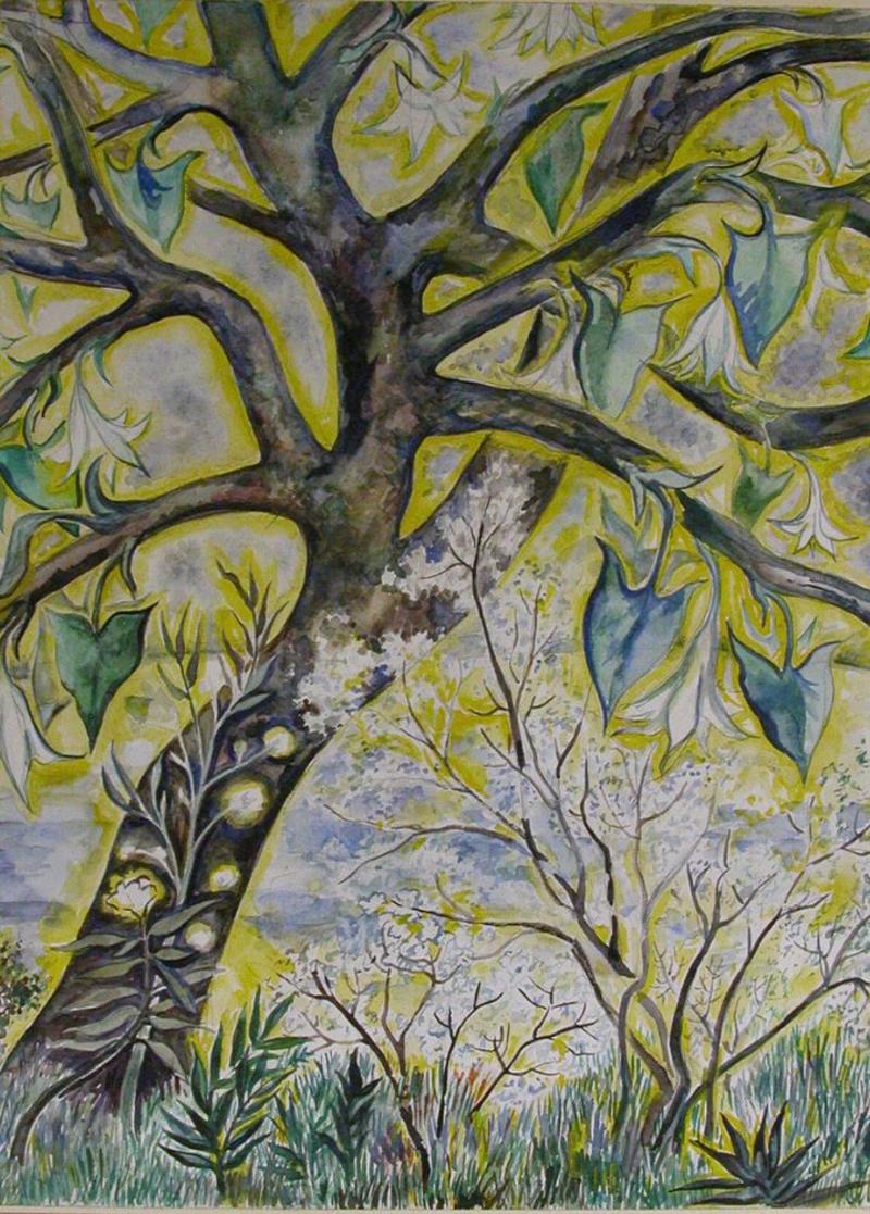 Colourful drawing of an exotic tree with pointed leaves, outlined in bright yellow, with s small shrub with pale pink blossoms in the foreground