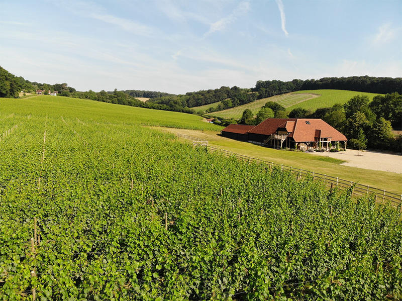 Hundred Hills Winery in Oxfordshire